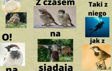 vGlyJiUH