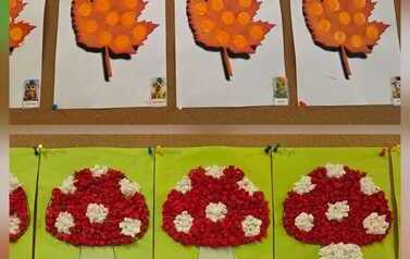 WhatsApp Image 2026-10-12 at 21.43.48 (1).jpeg