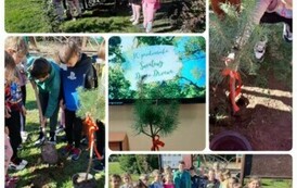 WhatsApp Image 2024-10-24 at 12.15.41