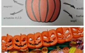 WhatsApp Image 2024-11-07 at 18.44.07 (2)