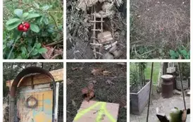 WhatsApp Image 2025-03-05 at 19.17.34 (1)