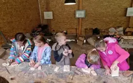 WhatsApp Image 2025-03-05 at 19.17.32 (1)