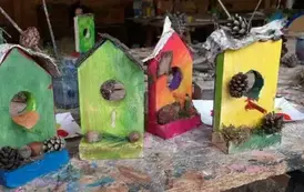 WhatsApp Image 2025-03-05 at 19.17.31