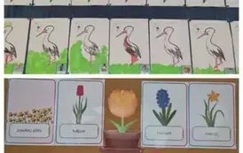 WhatsApp Image 2025-03-31 at 22.05.10 (2)