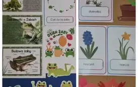 WhatsApp Image 2025-03-31 at 22.05.09