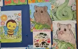 WhatsApp Image 2025-06-02 at 19.21.47