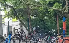 WhatsApp Image 2025-06-05 at 22.34.55