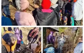 WhatsApp Image 2025-11-10 at 22.13.16