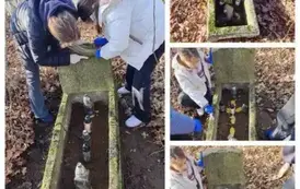 WhatsApp Image 2025-11-10 at 22.13.15 (2)