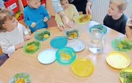 WhatsApp Image 2026-01-22 at 14.15.46