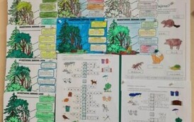 WhatsApp Image 2024-05-20 at 14.09.50 (1)